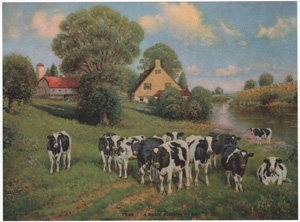 Vintage Calendar Art cows, cattle, livestock, farm life, etc.